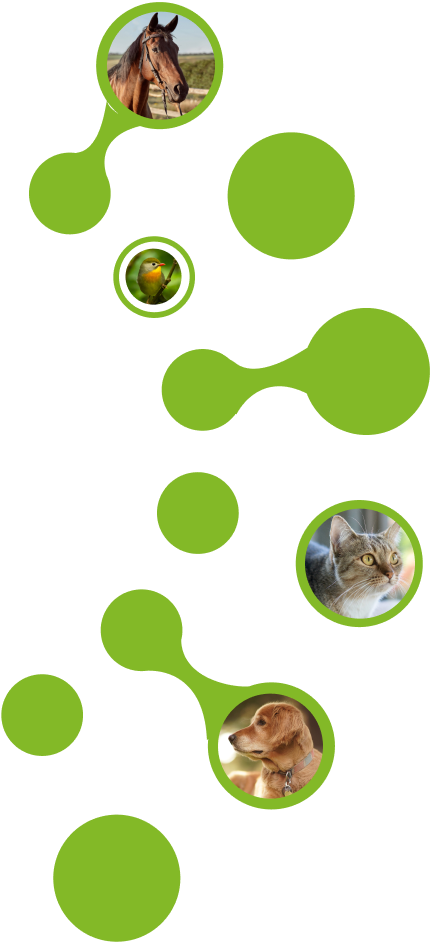 Imagem de Contato
